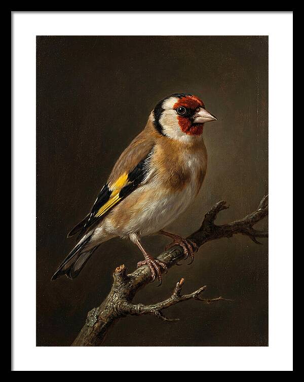 Charming Finch On A Limb