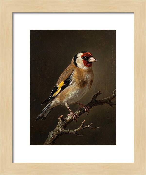 Charming Finch On A Limb