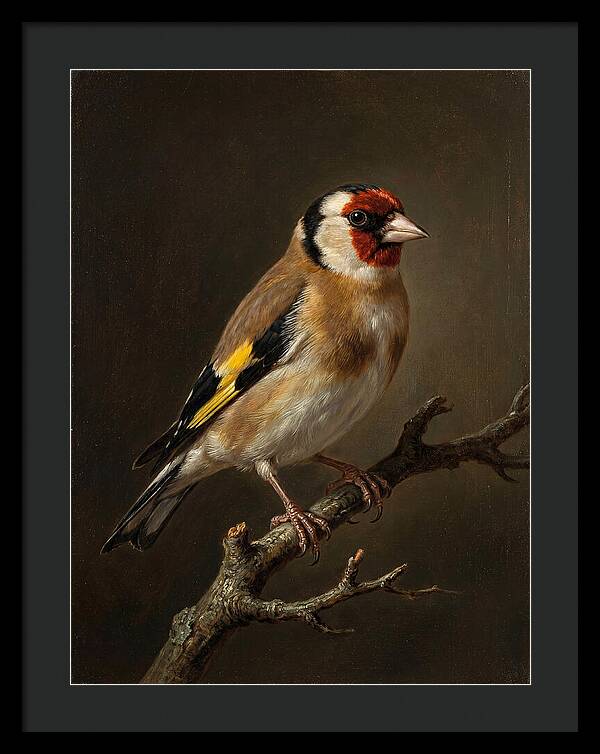 Charming Finch On A Limb