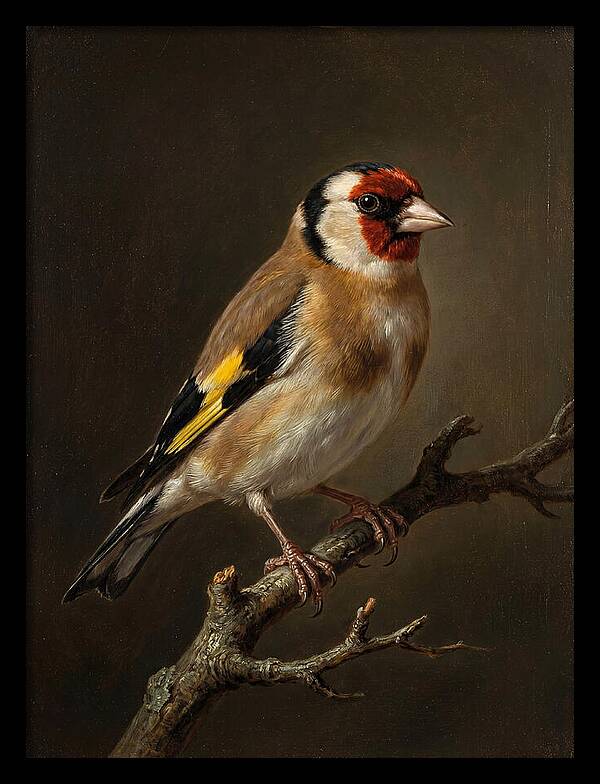 Charming Finch On A Limb