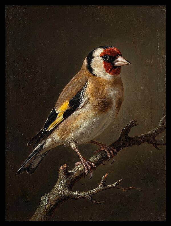Charming Finch On A Limb