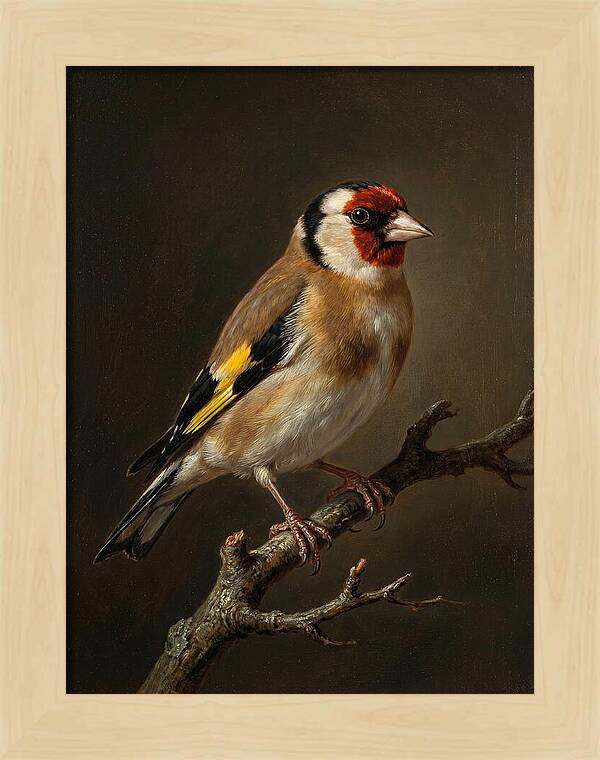 Charming Finch On A Limb