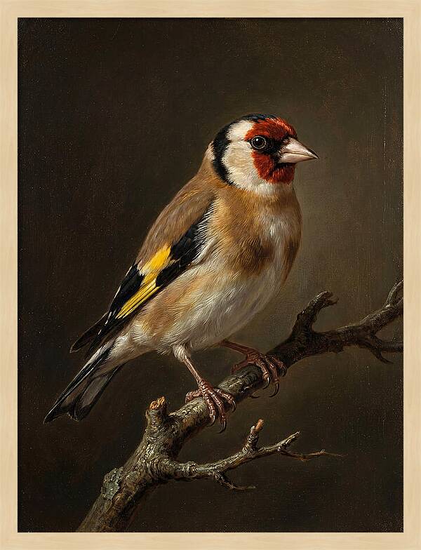Charming Finch On A Limb