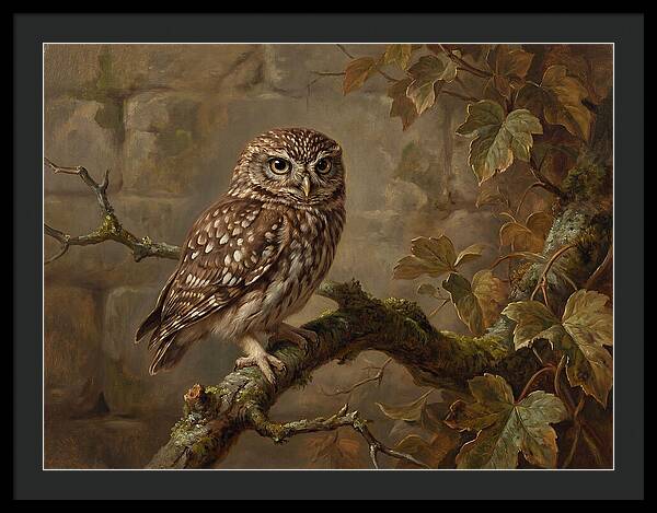 Charming Little Owl Observation