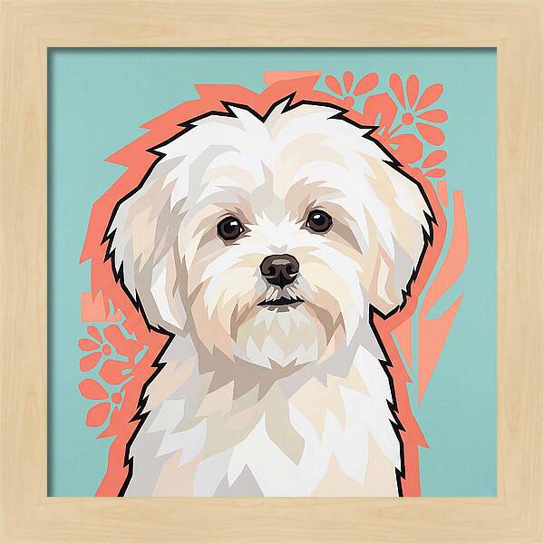 Charming Maltese Canine Portrait