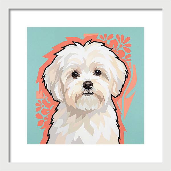 Charming Maltese Canine Portrait
