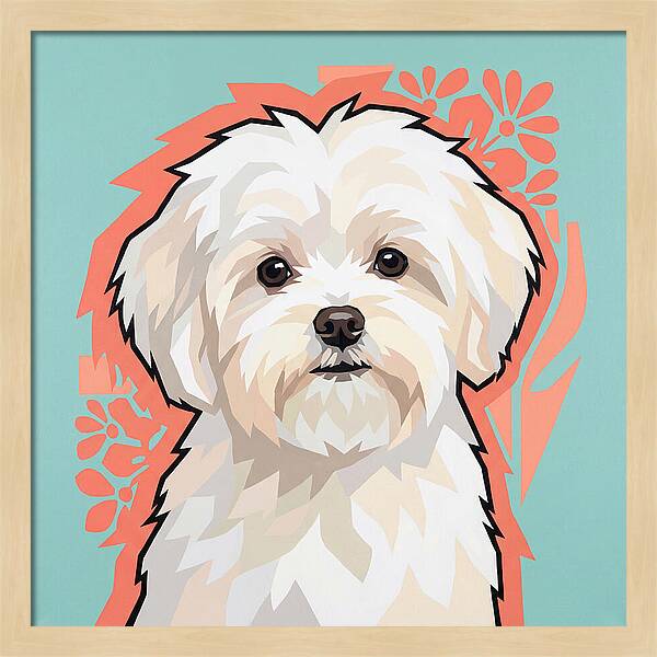 Charming Maltese Canine Portrait