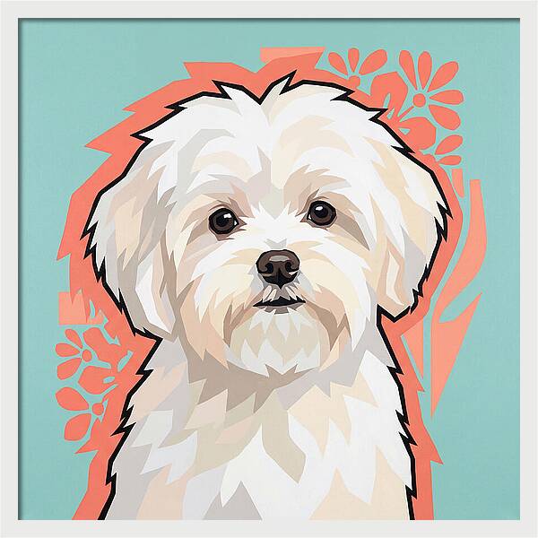 Charming Maltese Canine Portrait