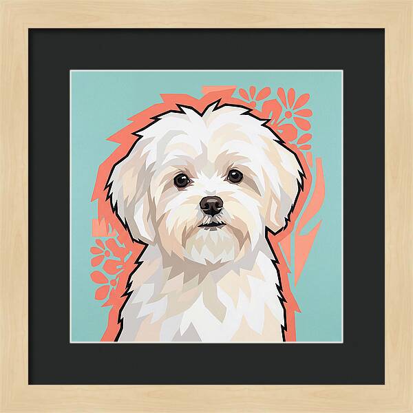 Charming Maltese Canine Portrait