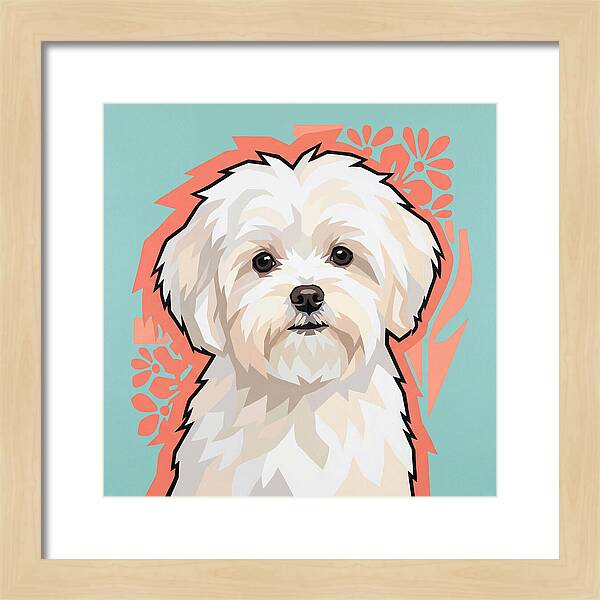 Charming Maltese Canine Portrait