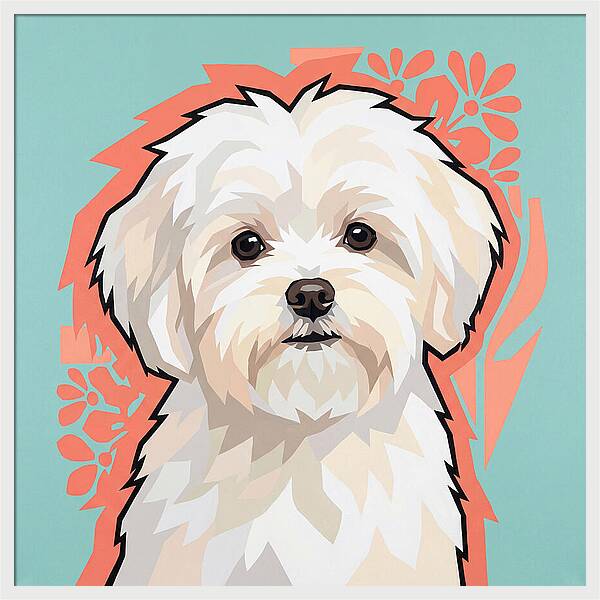 Charming Maltese Canine Portrait