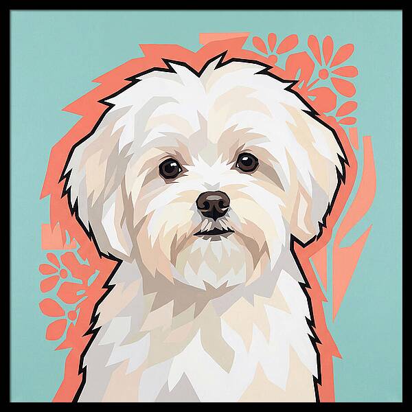 Charming Maltese Canine Portrait