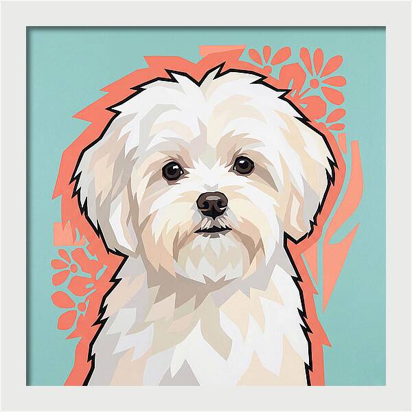 Charming Maltese Canine Portrait