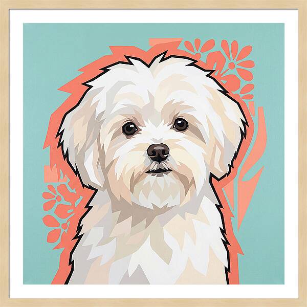 Charming Maltese Canine Portrait