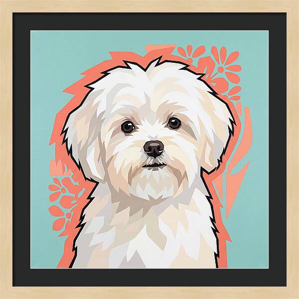 Charming Maltese Canine Portrait