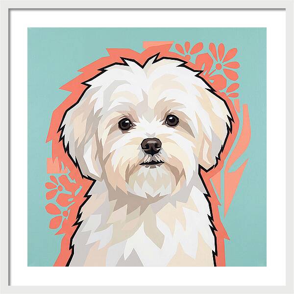 Charming Maltese Canine Portrait
