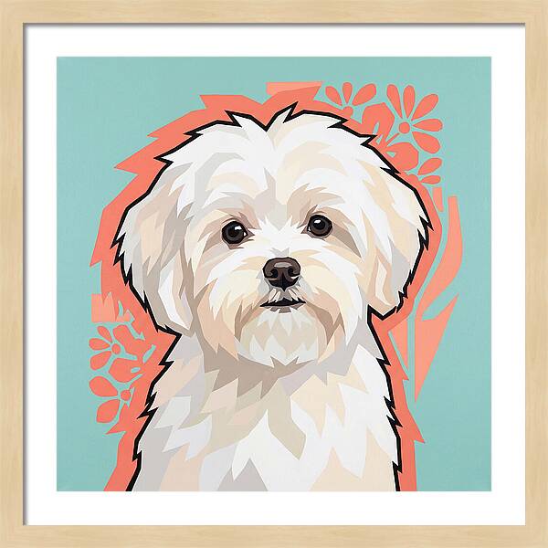 Charming Maltese Canine Portrait