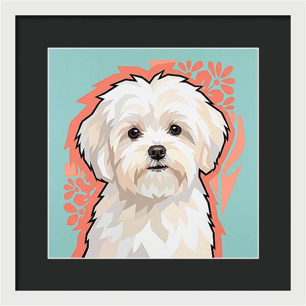 Charming Maltese Canine Portrait