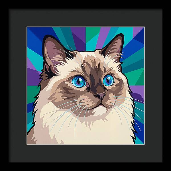 Charming Ragdoll Cat Expression