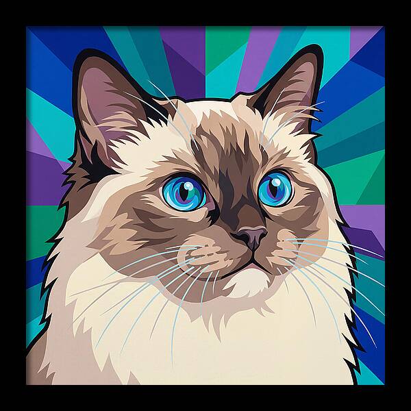 Charming Ragdoll Cat Expression