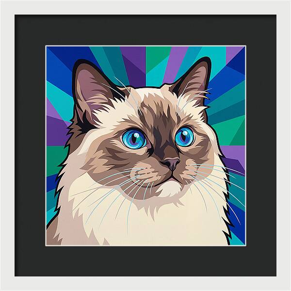 Charming Ragdoll Cat Expression