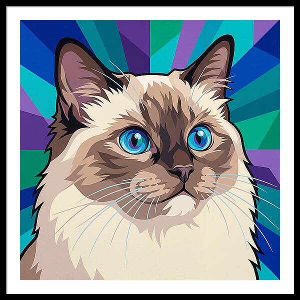 Charming Ragdoll Cat Expression