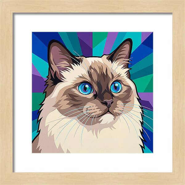 Charming Ragdoll Cat Expression