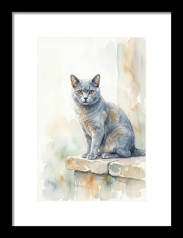 Chartreux Cat With Copper Eyes