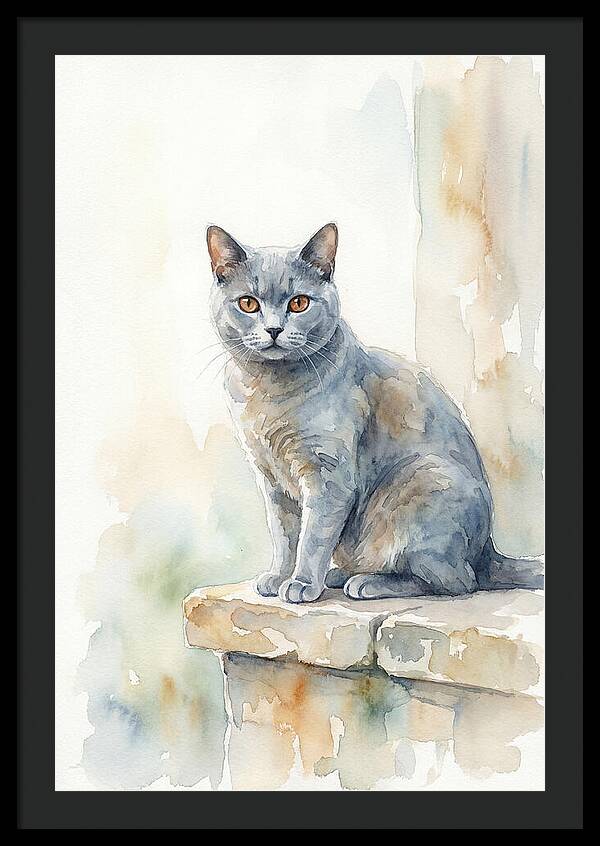 Chartreux Cat With Copper Eyes