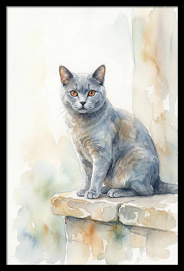 Chartreux Cat With Copper Eyes