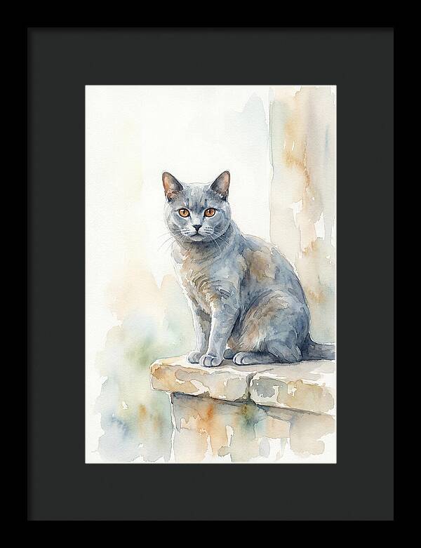 Chartreux Cat With Copper Eyes