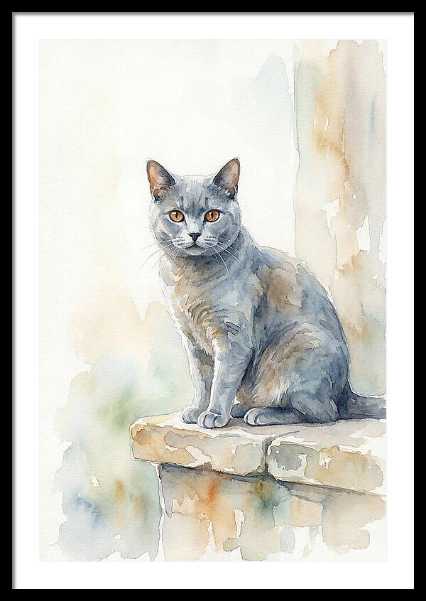 Chartreux Cat With Copper Eyes