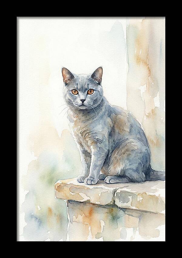 Chartreux Cat With Copper Eyes