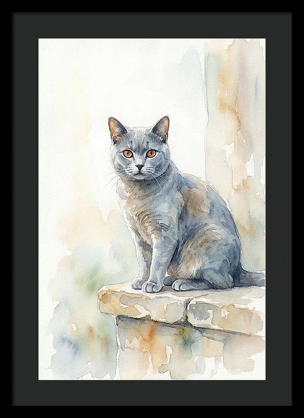 Chartreux Cat With Copper Eyes