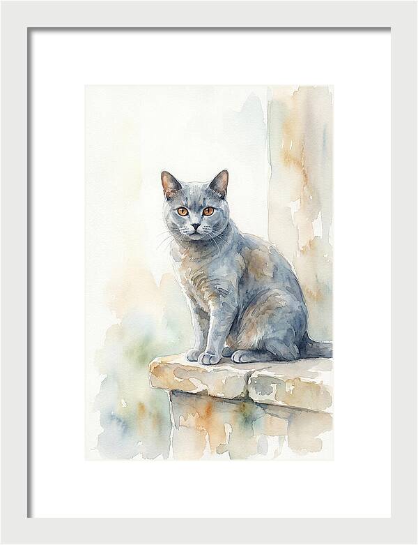 Chartreux Cat With Copper Eyes