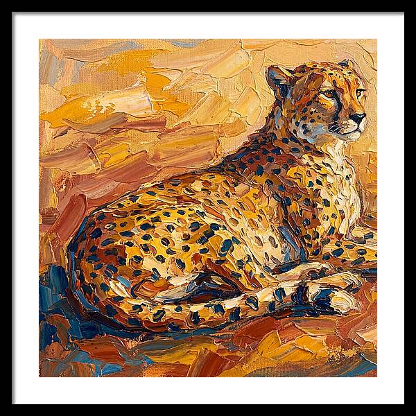 Cheetah Relaxing In The Sun
