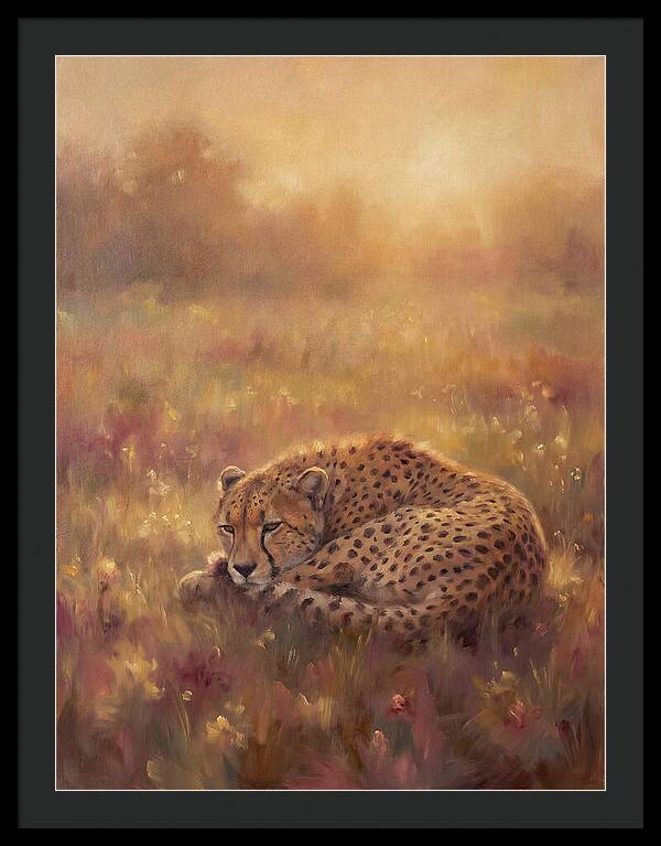 Cheetah Resting In Field