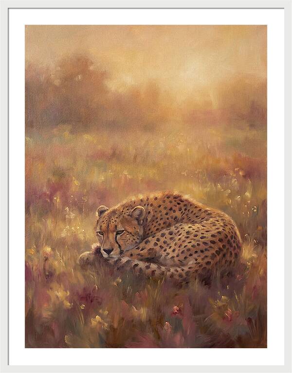Cheetah Resting In Field