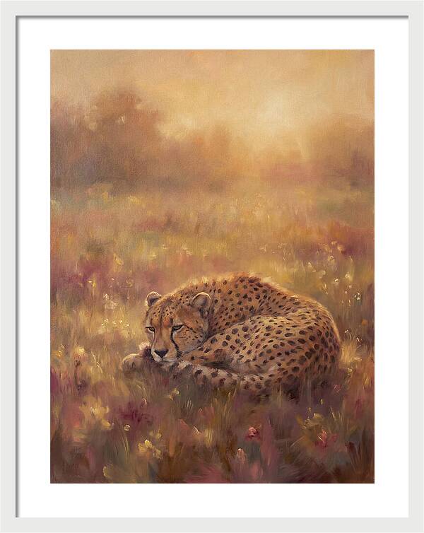 Cheetah Resting In Field