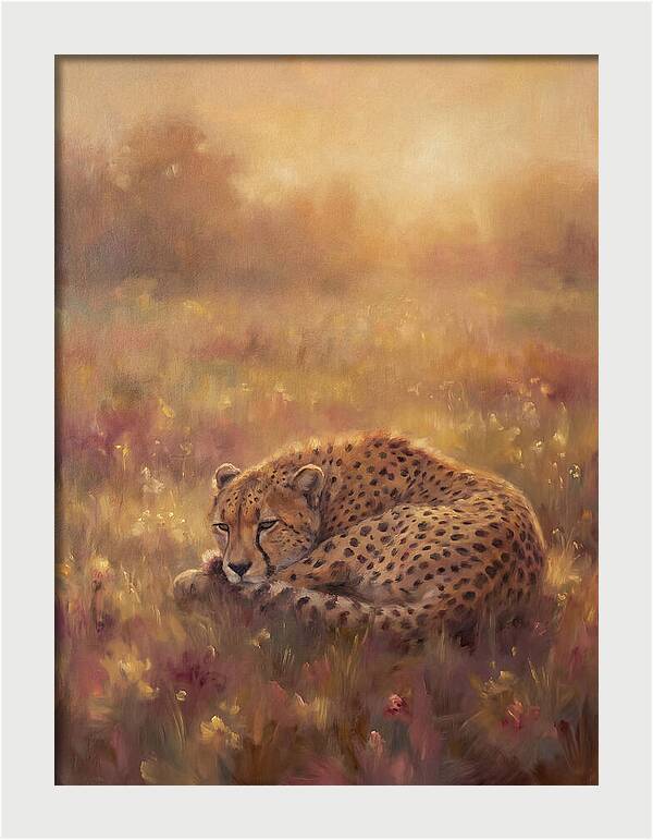 Cheetah Resting In Field