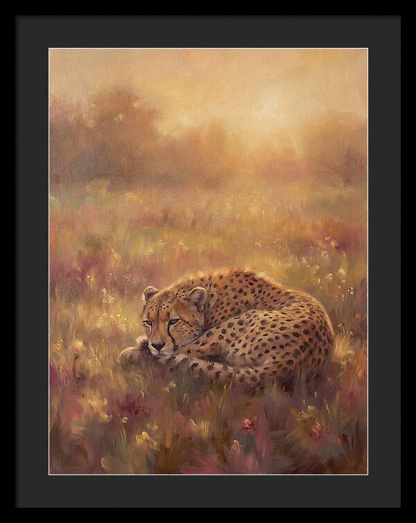 Cheetah Resting In Field