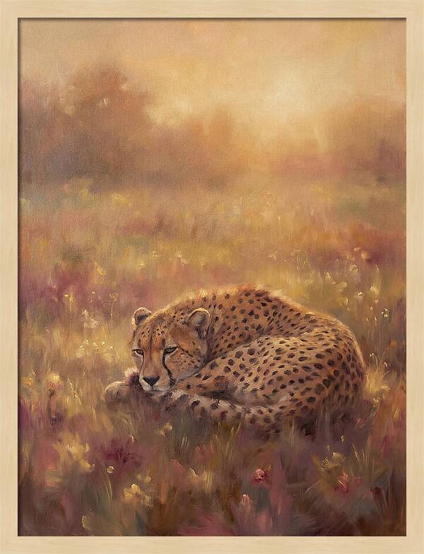 Cheetah Resting In Field