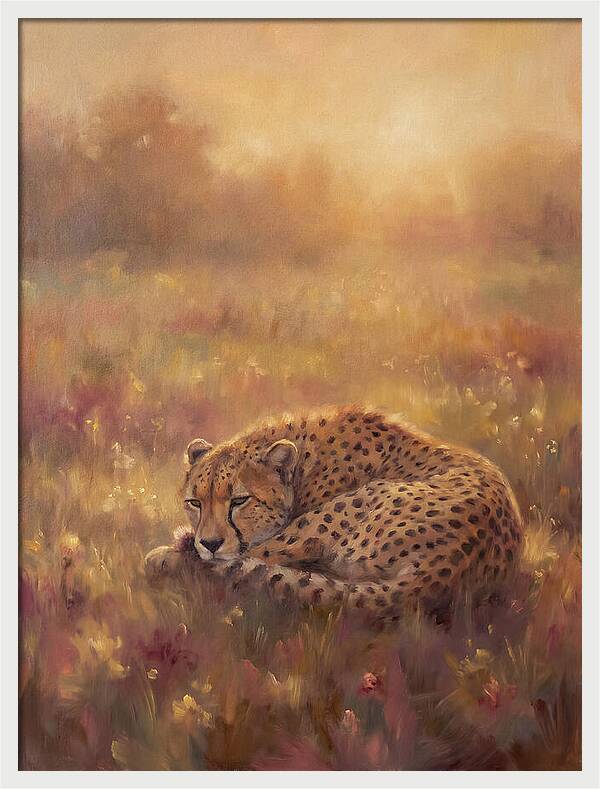 Cheetah Resting In Field