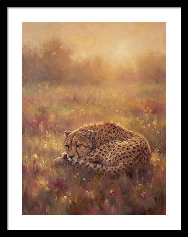 Cheetah Resting In Field