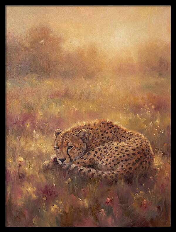 Cheetah Resting In Field