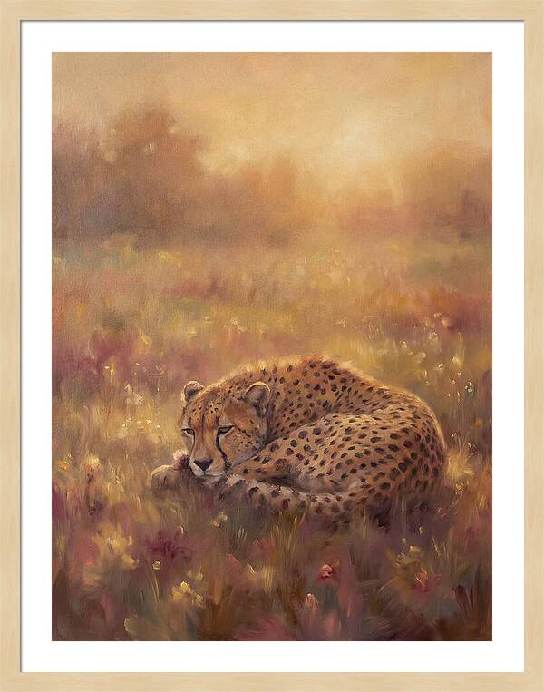 Cheetah Resting In Field