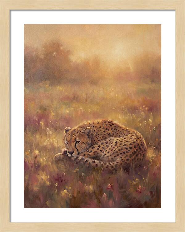 Cheetah Resting In Field