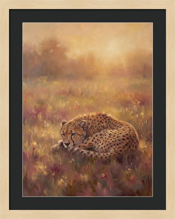 Cheetah Resting In Field