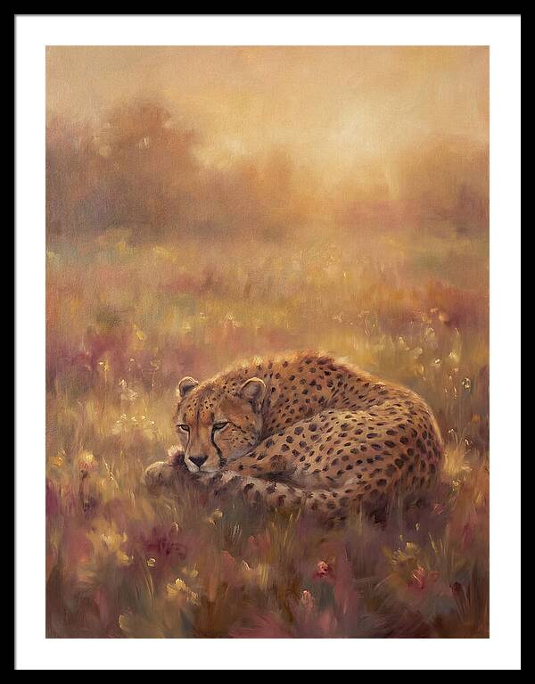 Cheetah Resting In Field