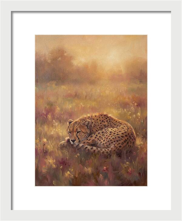 Cheetah Resting In Field